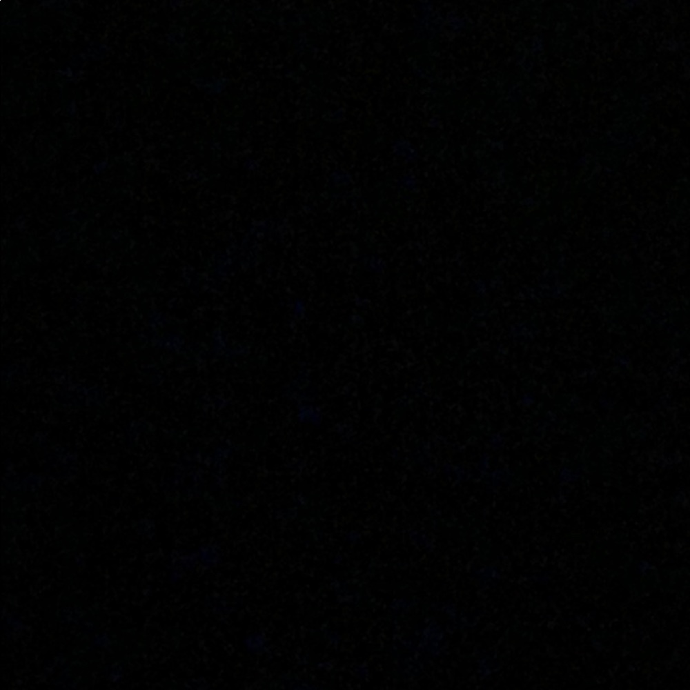 Meet your Posher, Caitli